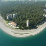 Пицунда сосновая роща